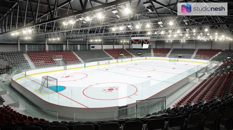 cardiff ice hockey arena